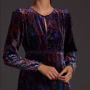 Anthropologie Burnout Velvet Maxi Dress